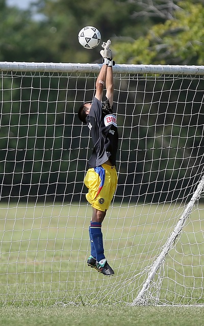 力和策略吸 力和策略吸