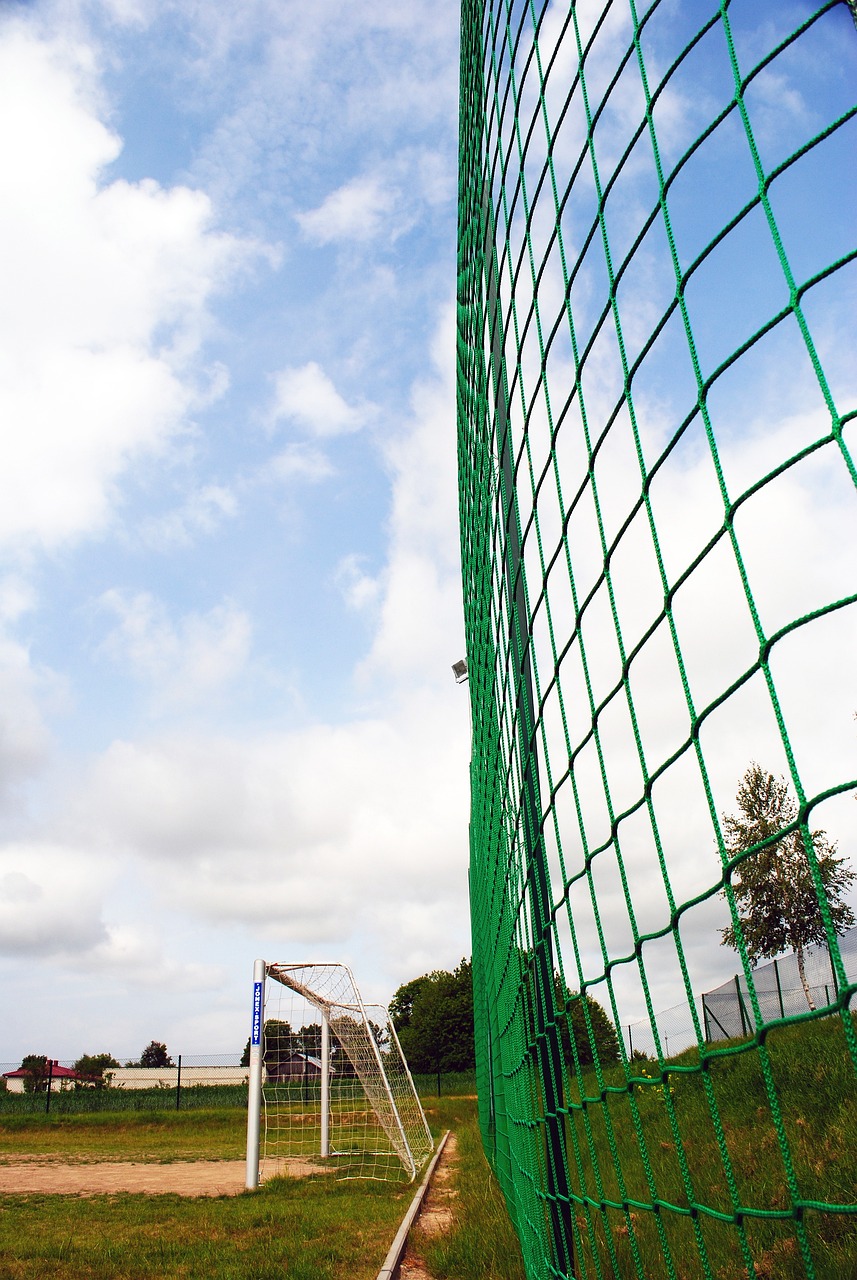 能够稳定发 能够稳定发