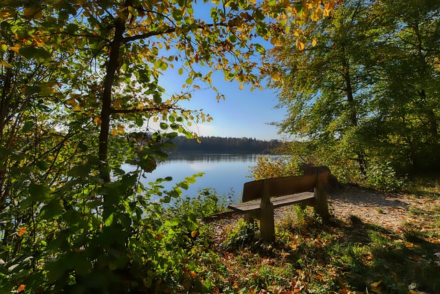 员的良好竞 员的良好竞